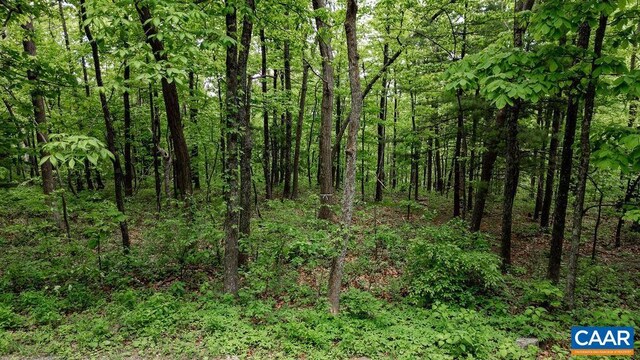 7 Wolftrap Ln, Wintergreen Resort, VA 22967