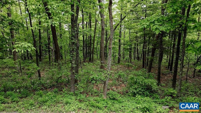 7 Wolftrap Ln, Wintergreen Resort, VA 22967 - photo 34