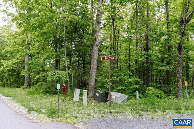 7 Wolftrap Ln, Wintergreen Resort, VA 22967