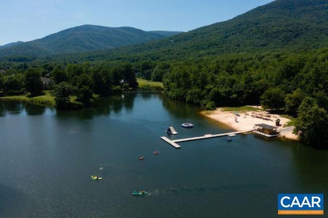 7 Wolftrap Ln, Wintergreen Resort, VA 22967 - photo 44