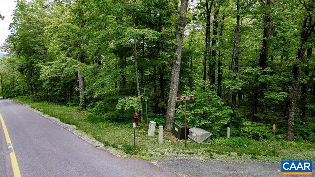 7 Wolftrap Ln, Wintergreen Resort, VA 22967