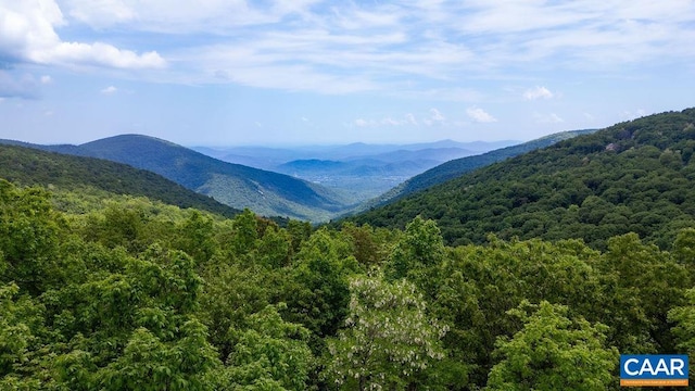 7 Wolftrap Ln, Wintergreen Resort, VA 22967 - photo 15