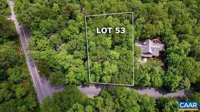 7 Wolftrap Ln, Wintergreen Resort, VA 22967 - photo 10