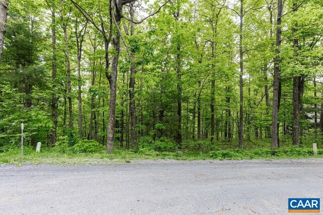 7 Wolftrap Ln, Wintergreen Resort, VA 22967