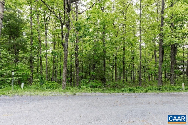 7 Wolftrap Ln, Wintergreen Resort, VA 22967 - photo 4