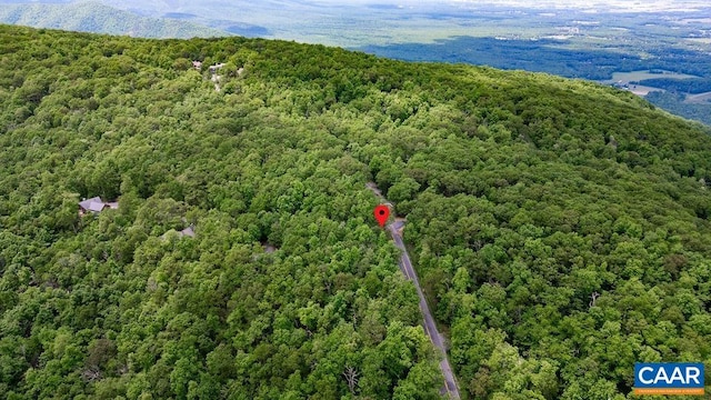 7 Wolftrap Ln, Wintergreen Resort, VA 22967 - photo 21