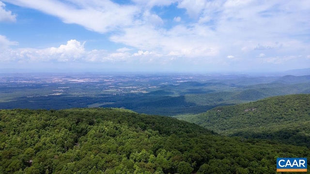 7 Wolftrap Ln, Wintergreen Resort, VA 22967 - photo 23