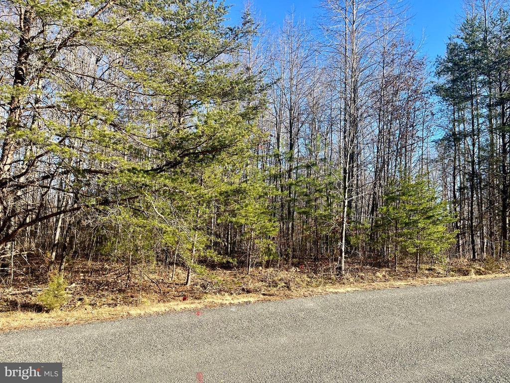Overton Dr, Mineral, VA 23117