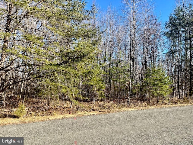 Overton Dr, Mineral, VA 23117