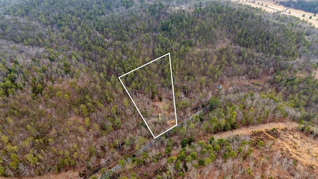 4204 Indian Draft Rd, Millboro, VA 24460 - photo 27
