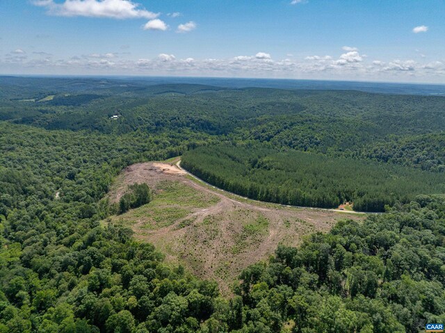 Hunting Lodge Rd, Schuyler, VA 22969 - photo 21