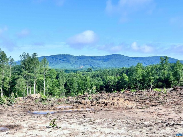 Hunting Lodge Rd, Schuyler, VA 22969 - photo 58