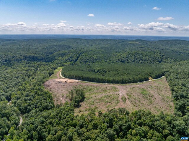 Hunting Lodge Rd, Schuyler, VA 22969 - photo 22