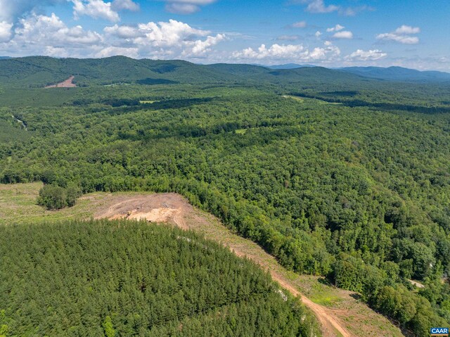 Hunting Lodge Rd, Schuyler, VA 22969 - photo 8