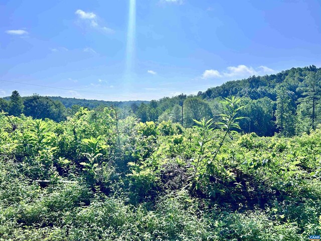 Hunting Lodge Rd, Schuyler, VA 22969 - photo 64