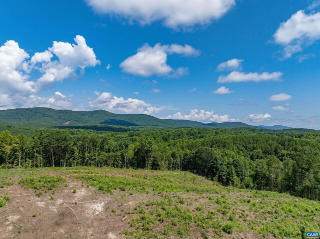 Hunting Lodge Rd, Schuyler, VA 22969 - photo 51