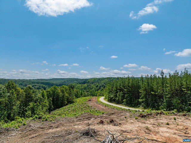 Hunting Lodge Rd, Schuyler, VA 22969 - photo 48
