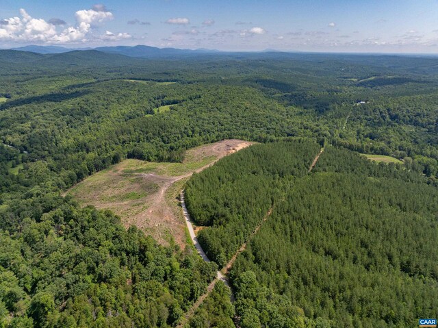 Hunting Lodge Rd, Schuyler, VA 22969 - photo 20