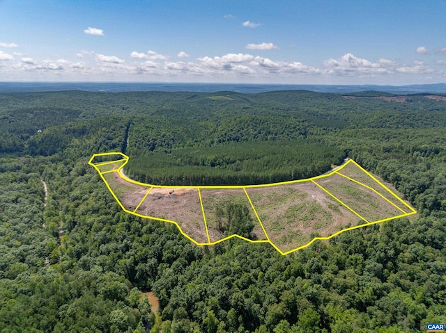 Hunting Lodge Rd, Schuyler, VA 22969 - photo 1