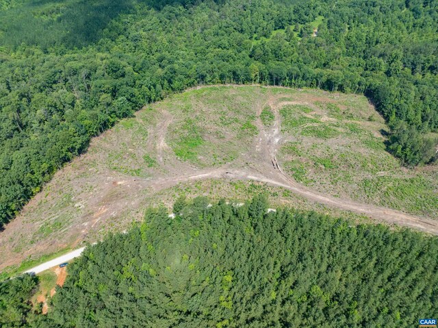 Hunting Lodge Rd, Schuyler, VA 22969 - photo 30