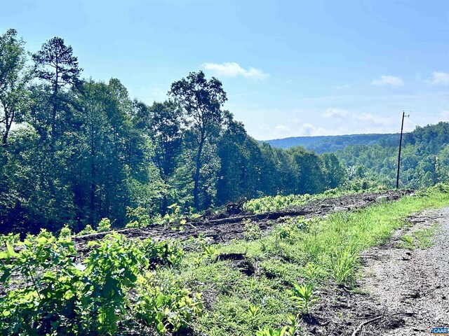 Hunting Lodge Rd, Schuyler, VA 22969 - photo 61
