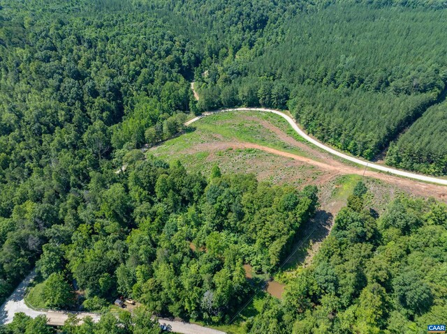 Hunting Lodge Rd, Schuyler, VA 22969 - photo 13