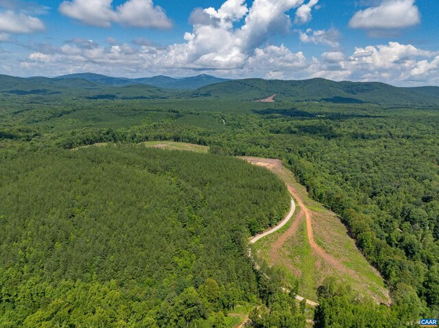 Hunting Lodge Rd, Schuyler, VA 22969 - photo 10
