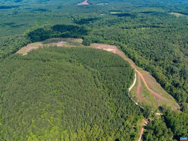 Hunting Lodge Rd, Schuyler, VA 22969 - photo 18