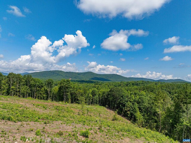 Hunting Lodge Rd, Schuyler, VA 22969 - photo 50