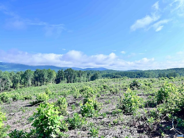 Hunting Lodge Rd, Schuyler, VA 22969 - photo 66
