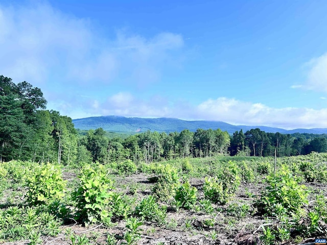 Hunting Lodge Rd, Schuyler, VA 22969 - photo 2