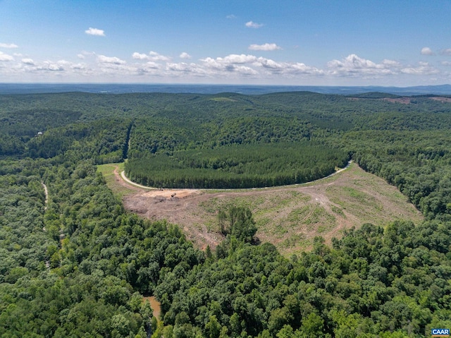 Hunting Lodge Rd, Schuyler, VA 22969 - photo 5
