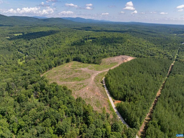 Hunting Lodge Rd, Schuyler, VA 22969 - photo 42