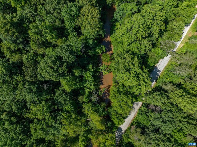 Hunting Lodge Rd, Schuyler, VA 22969 - photo 55
