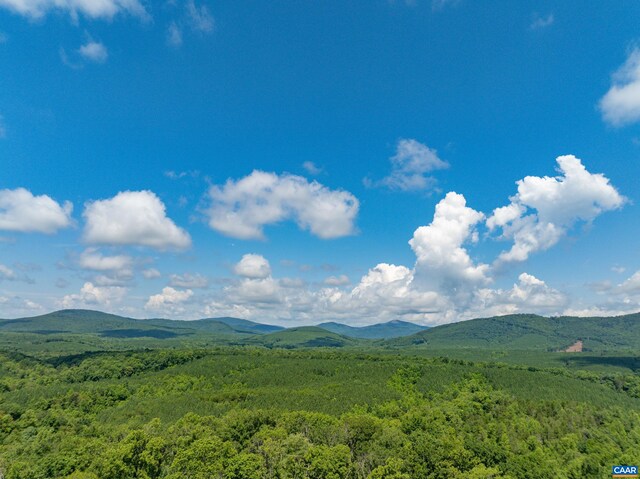 Hunting Lodge Rd, Schuyler, VA 22969 - photo 54