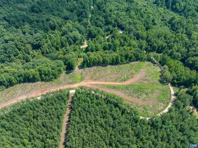 Hunting Lodge Rd, Schuyler, VA 22969 - photo 35
