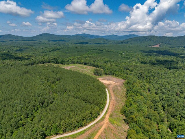 Hunting Lodge Rd, Schuyler, VA 22969 - photo 11