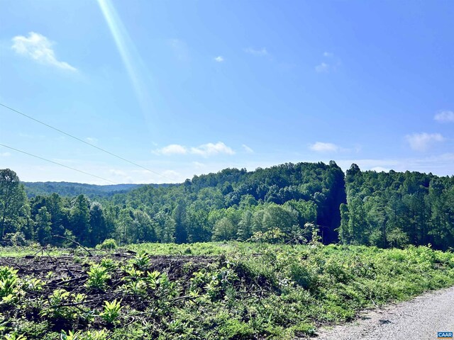 Hunting Lodge Rd, Schuyler, VA 22969 - photo 63