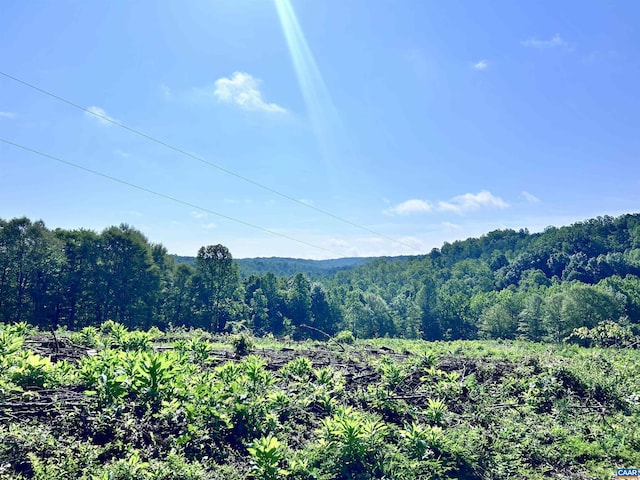 Hunting Lodge Rd, Schuyler, VA 22969 - photo 4