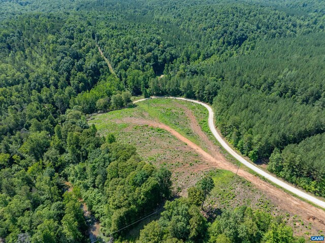 Hunting Lodge Rd, Schuyler, VA 22969 - photo 12
