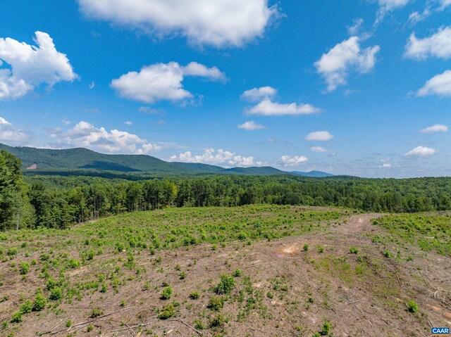 Hunting Lodge Rd, Schuyler, VA 22969 - photo 53