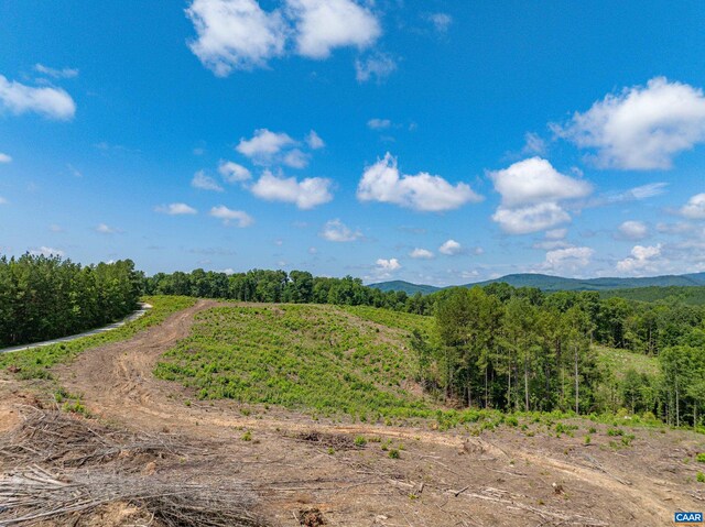 Hunting Lodge Rd, Schuyler, VA 22969 - photo 49