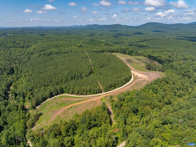 Hunting Lodge Rd, Schuyler, VA 22969 - photo 14