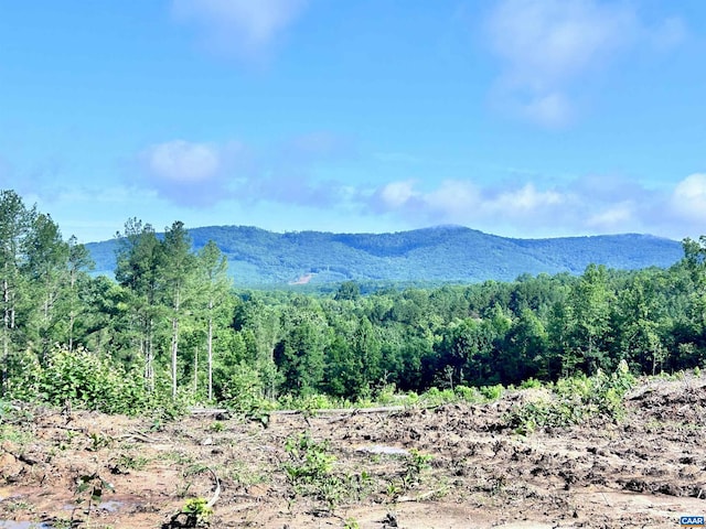 Hunting Lodge Rd, Schuyler, VA 22969 - photo 3