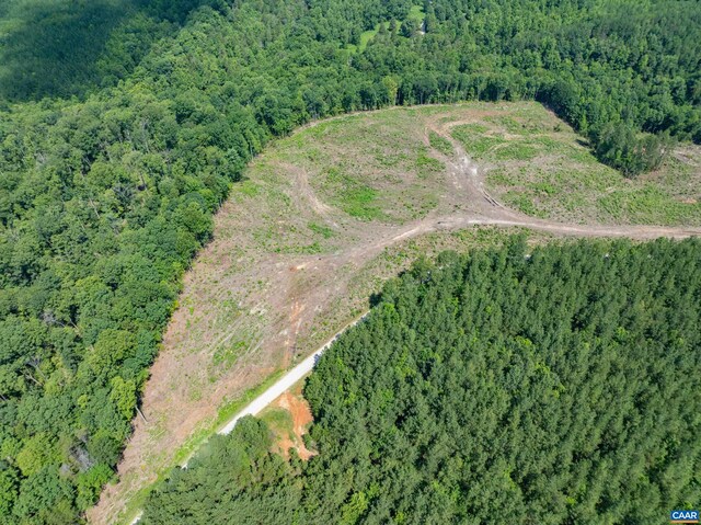 Hunting Lodge Rd, Schuyler, VA 22969 - photo 29