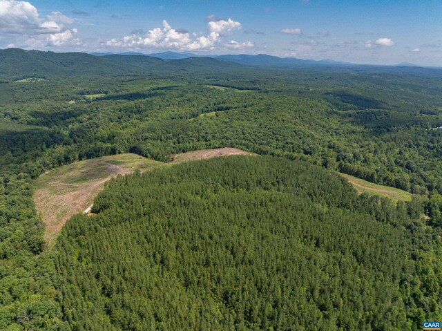 Hunting Lodge Rd, Schuyler, VA 22969 - photo 19