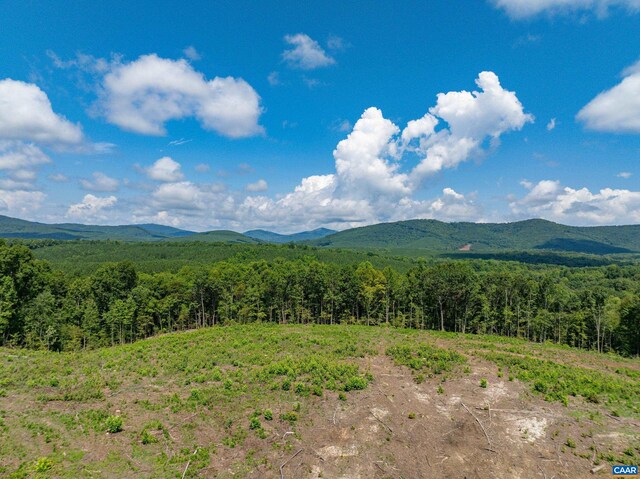 Hunting Lodge Rd, Schuyler, VA 22969 - photo 52