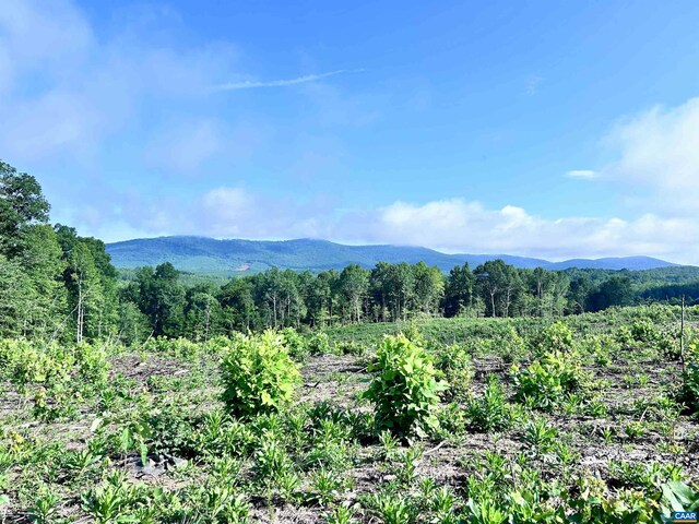 Hunting Lodge Rd, Schuyler, VA 22969 - photo 59