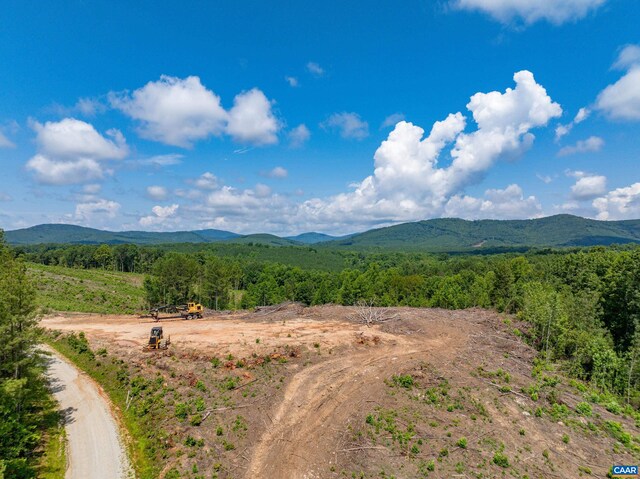 Hunting Lodge Rd, Schuyler, VA 22969 - photo 47