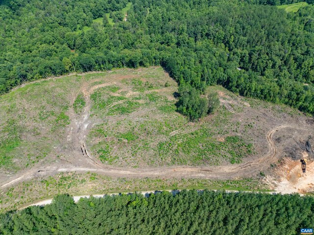 Hunting Lodge Rd, Schuyler, VA 22969 - photo 28